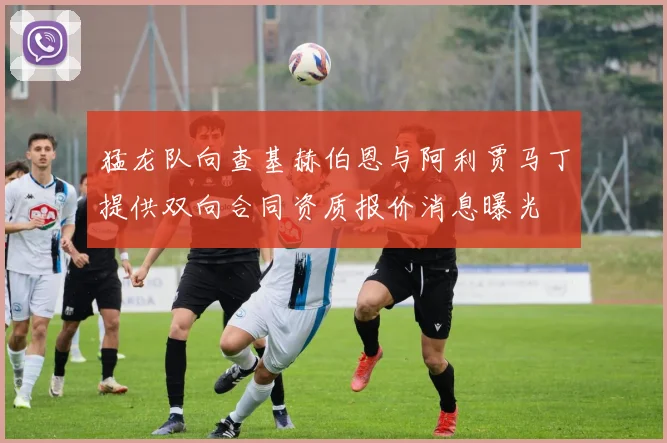 猛龙队向查基赫伯恩与阿利贾马丁提供双向合同资质报价消息曝光